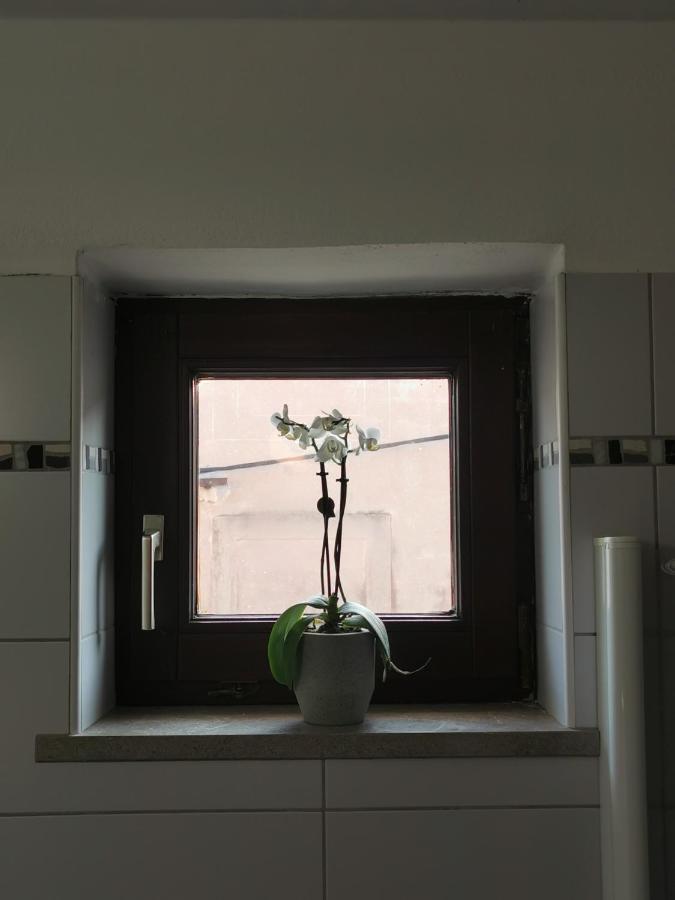 Istrian Old Town Apartment Koper Exterior photo